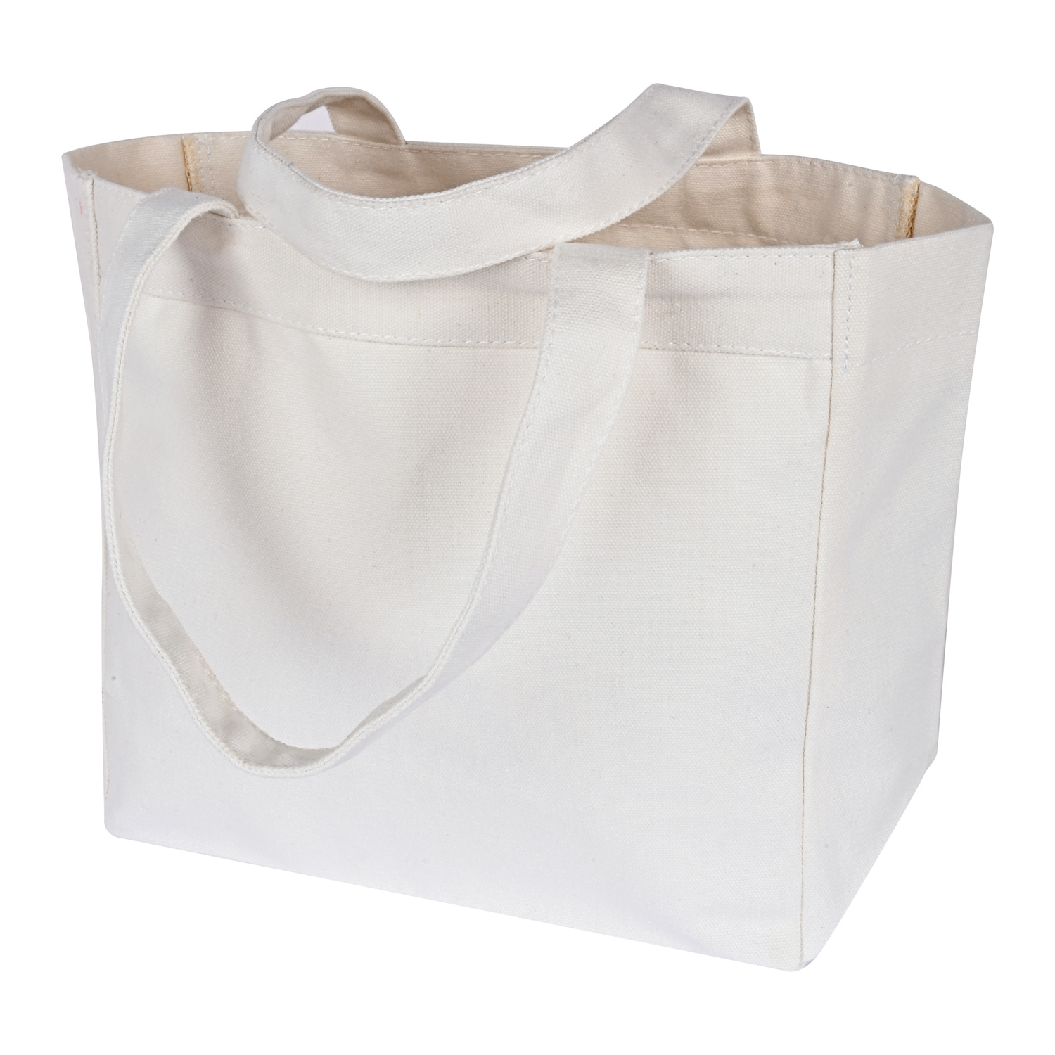 Talia Small Cotton Canvas Tote Bag