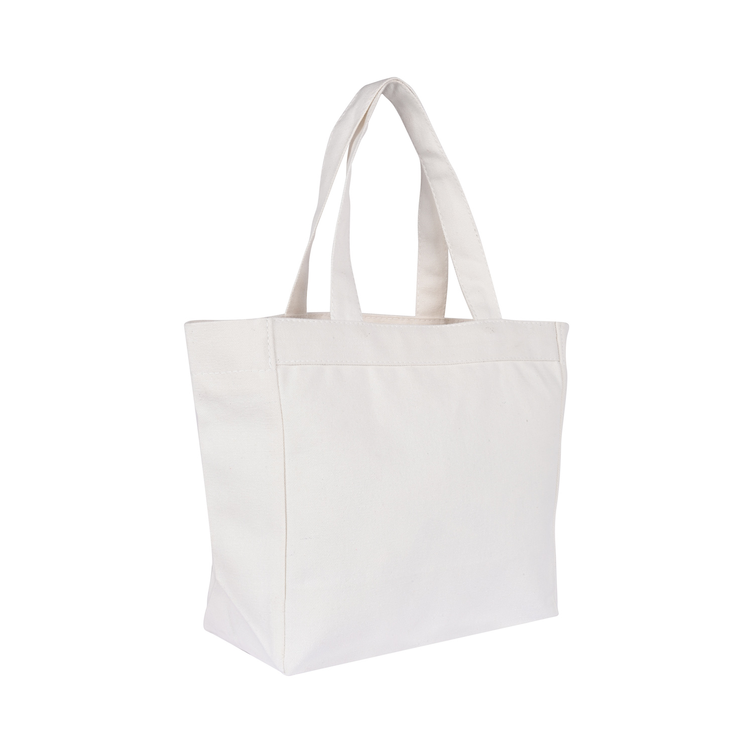 Tote Bags for Lunch Box with Gusset (10 Count) - No Plastic Shop