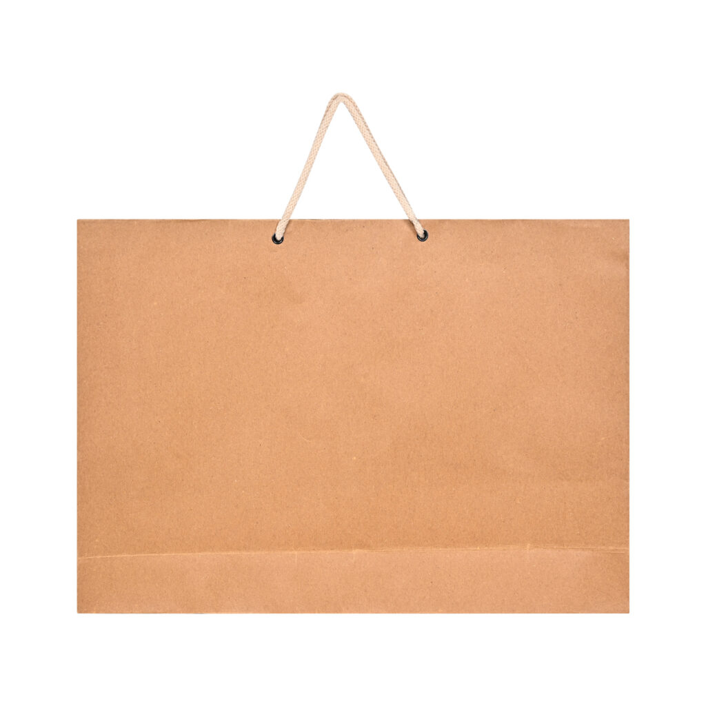 Kraft Paper Brown Bags (50 Count) Horizontal Big 16x12x3.5 - No
