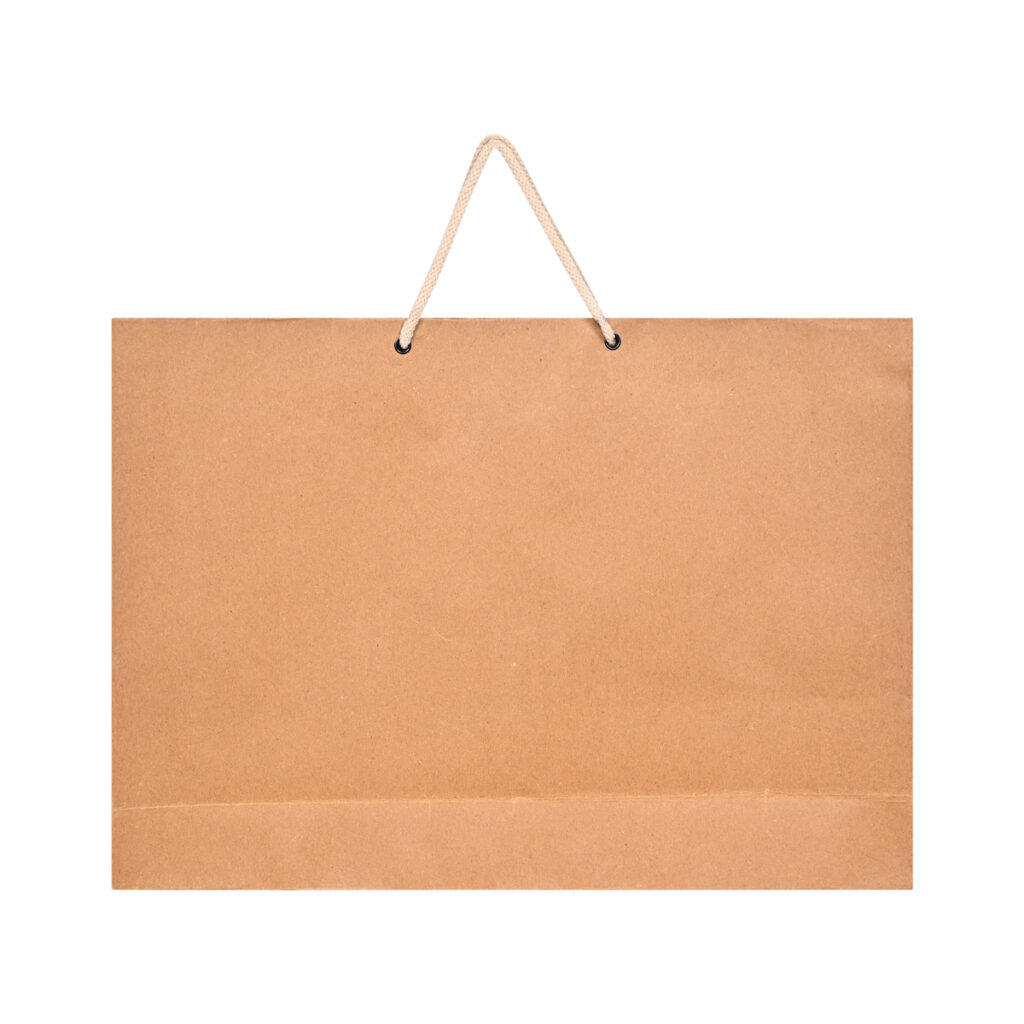 Kraft Paper Brown Bags (50 Count) Horizontal Big 16x12x3.5 - No Plastic  Shop