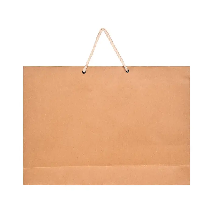 Kraft Paper Brown Bags (5 Count) 12"x9"x3" 2 Paper Bag Horizontal